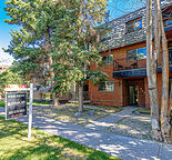 BEAUTIFUL Sunnyside 3 Bedroom/1 Bathroom Walking Distance to Memorial!