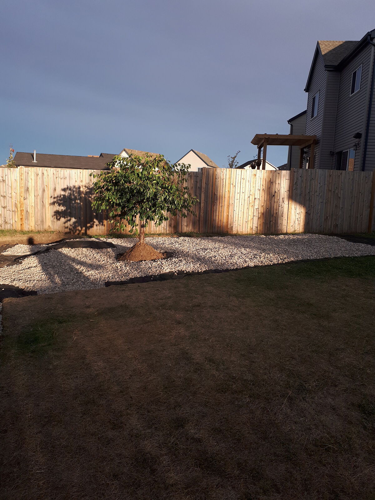 Calgary 3 + Den bedrooms House for rent. Property photo: 752788-1