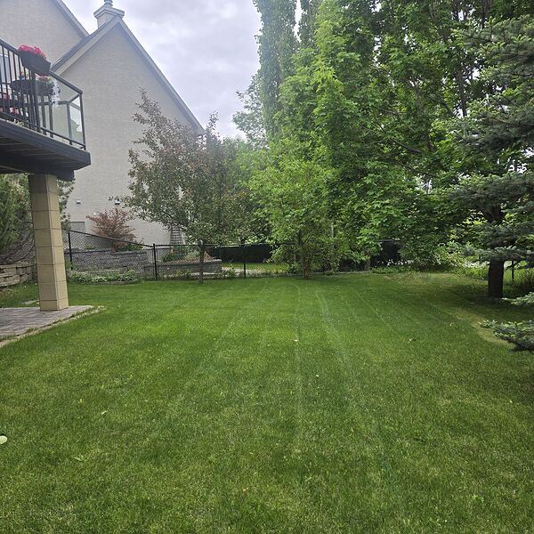 Calgary 1 bedroom Basement for rent. Property photo: 752981-2