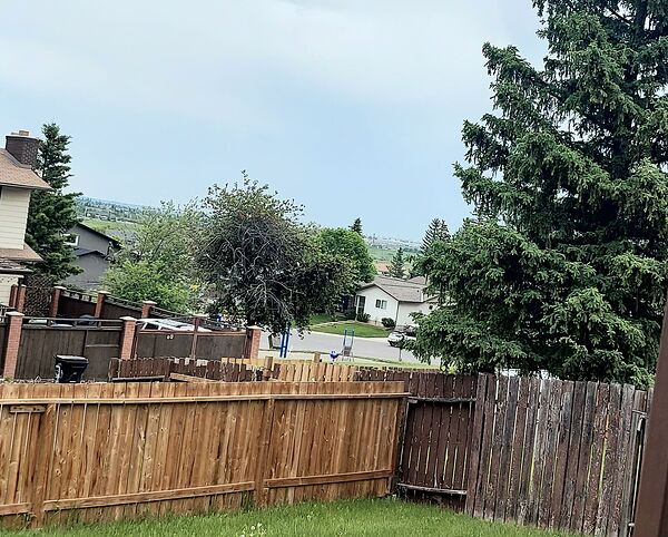 Calgary 3 bedrooms Main Floor for rent. Property photo: 753453-3