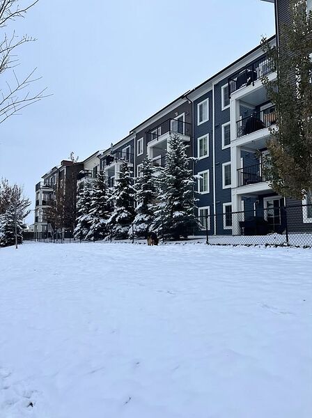 Calgary 2 bedrooms Condo Unit for rent. Property photo: 753521-3