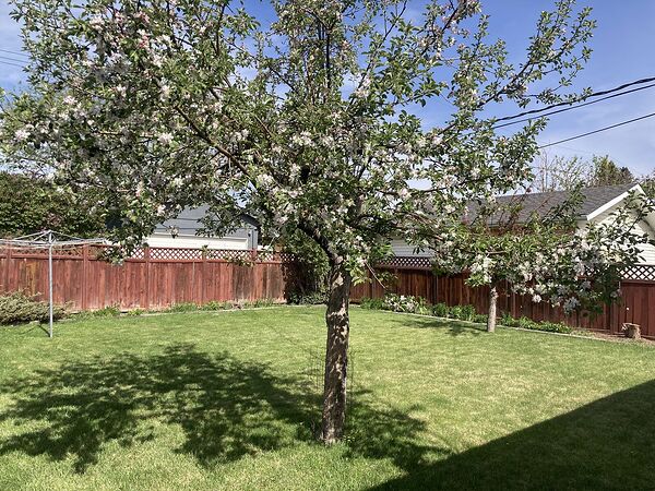 Calgary 2 + Den bedrooms House for rent. Property photo: 753841-3