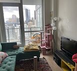Cozy Downtown 1 Bedroom | 1 Bathroom