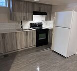 Taradale basement for rent