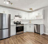 Newly Renovated One-Bedroom Suite