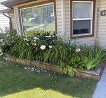 Montgomery near, UofC, Foothills and Children's a lovely warm living space.