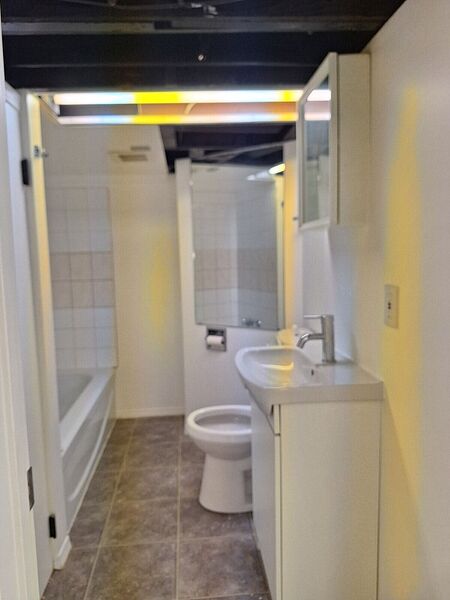 Totally Renovated little bungalow (2024)