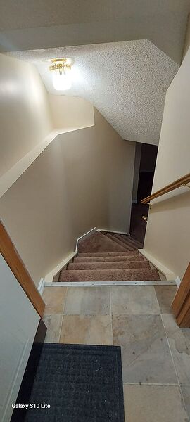 Spacious basement for rent