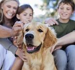 Pet Friendly 3 Bedroom with Fenced Backyard AVAILABLE SOON!