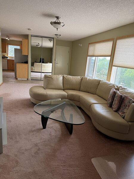 Large One Bedroom Suite includes utilities and parking beside Dalhousie Station