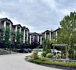 Bright Top-Floor 2-Bed Condo | Parking + Storage | Steps to Save-On-Foods