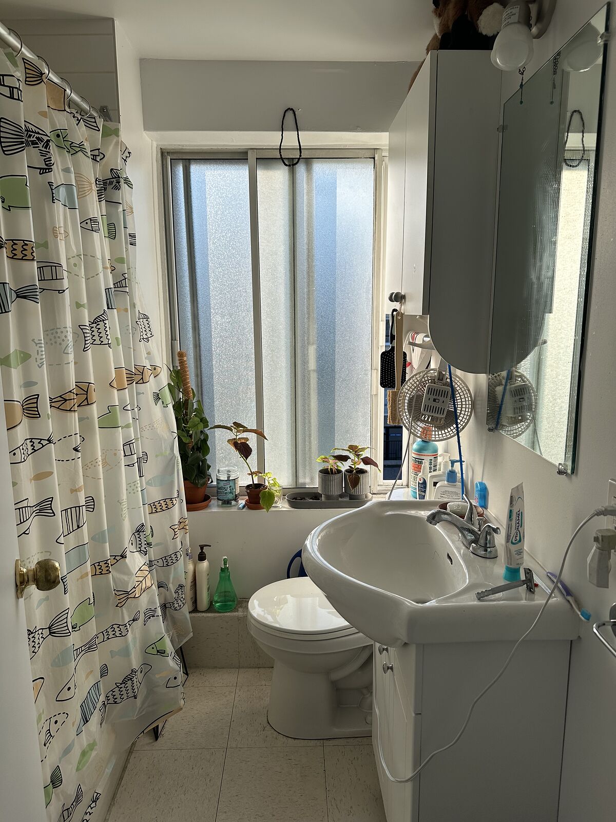 12 - 6725 Av. de Darlington — photo 1