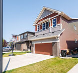 Lovely One Bed Basement Suite in Carrington — Carrington, Calgary
