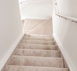 Cozy, Spacious and Sunlit 2 Bedroom full-walkout basement at Ambleton — Ambleton, Calgary