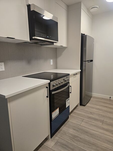 Price Drop! Brand New Basement Suite in Belmont