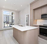 Brand New 2 Bed + 2 Bath Condo | Clover at Carrington