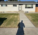 2 Bedroom basement in Forestlawn
