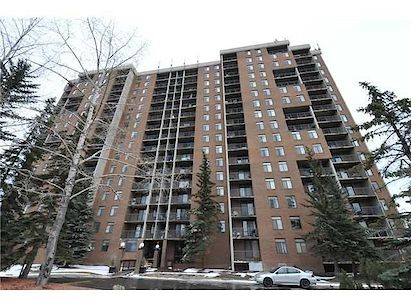 Dalhousie C-Train 2 br Apt with View