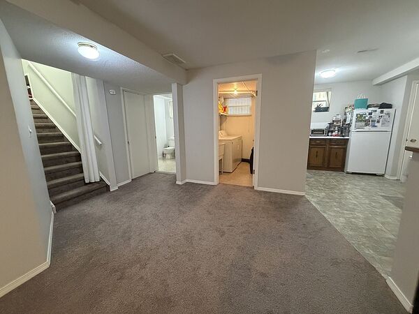Killarney - Basement for rent