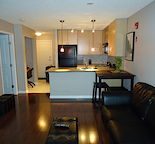 Laurel House at the Park- Lincoln Park Condo for Rent