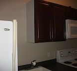 2 bdrm basement suite-with separate entrance