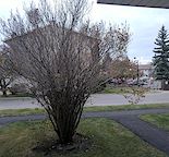 Ground-Level Townhouse | Utilities Included | Steps to LRT | Available Now