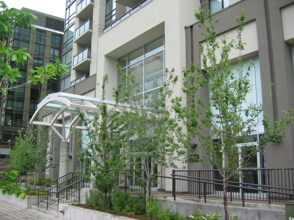 Calgary 2 bedrooms Condo Unit for rent. Property photo: 87198-1