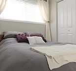 Bright basement suite