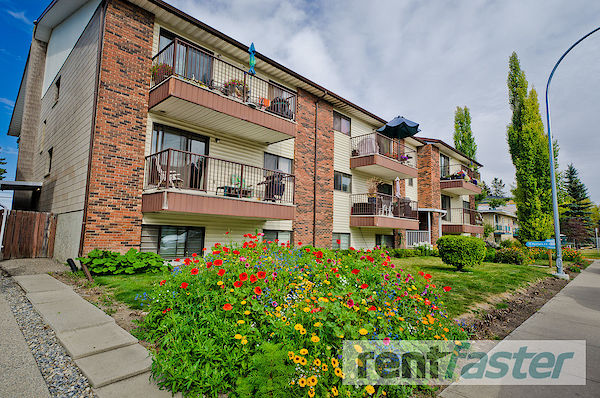 Calgary 2 bedrooms Apartment for rent. Property photo: 88411-2