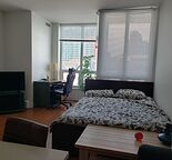 Fully Furnished Studio - Move-In Ready - Immediately