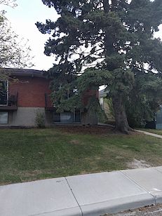 Calgary 2 bedrooms Duplex for rent. Property photo: 93300-3