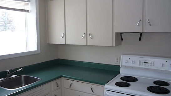 Calgary 1 bedroom Basement for rent. Property photo: 98281-2