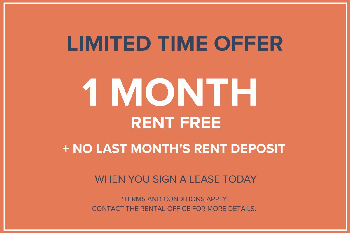 Promotion Image