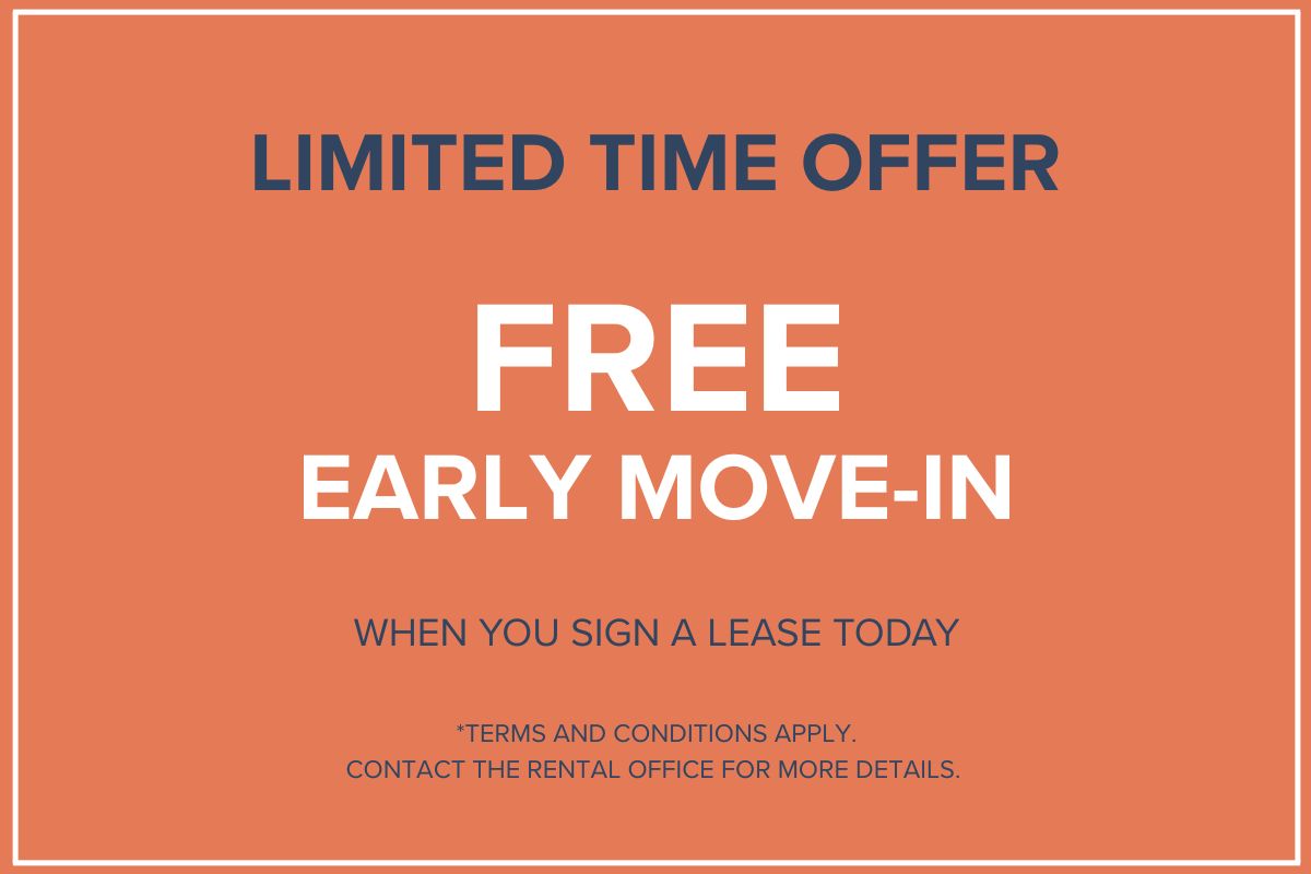 Promotion Image