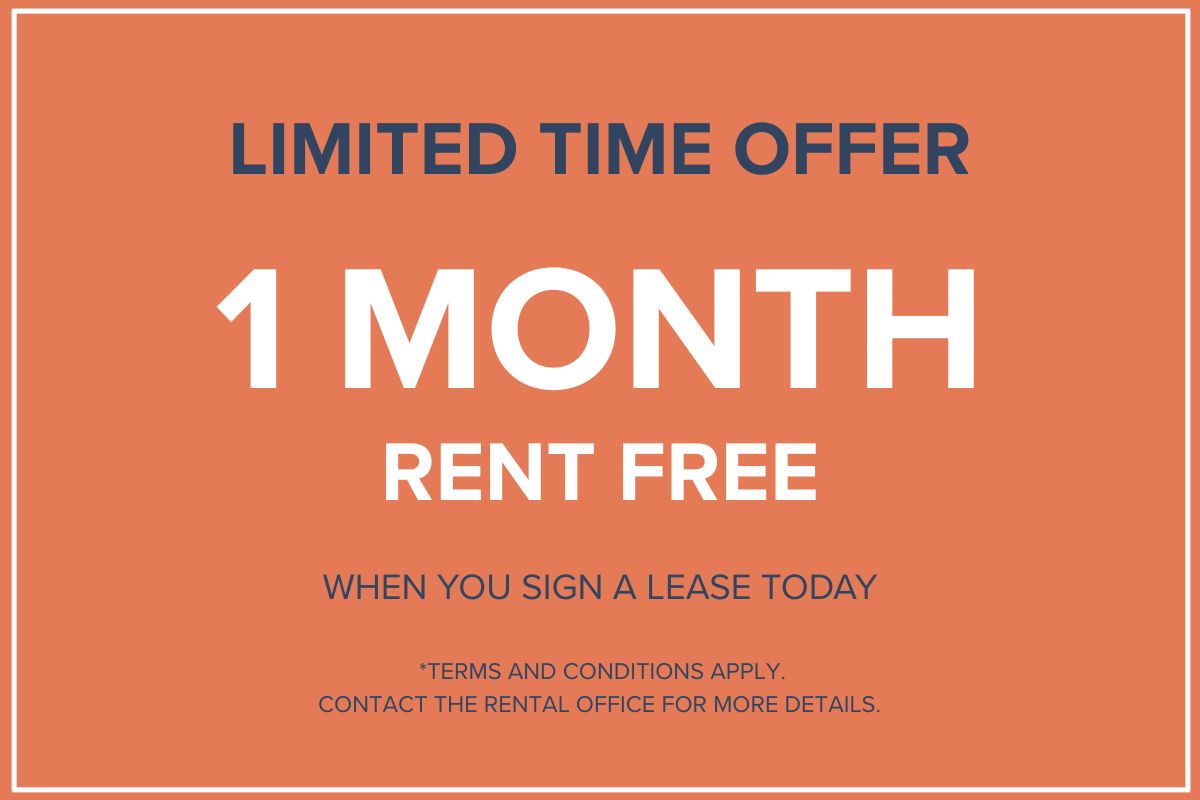 Promotion Image