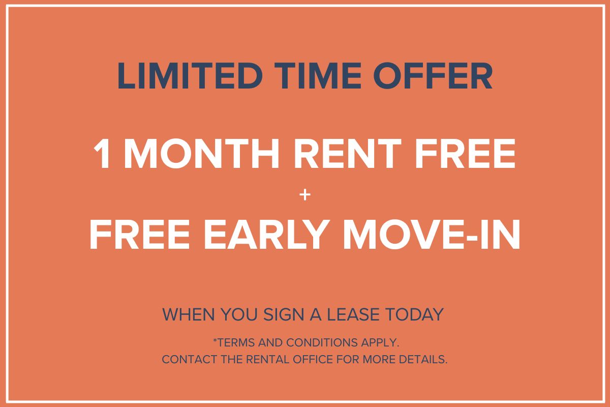 Promotion Image