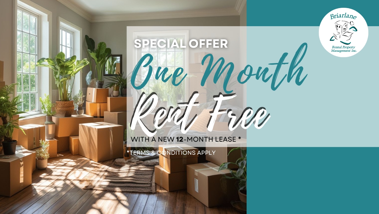 Promotion Image