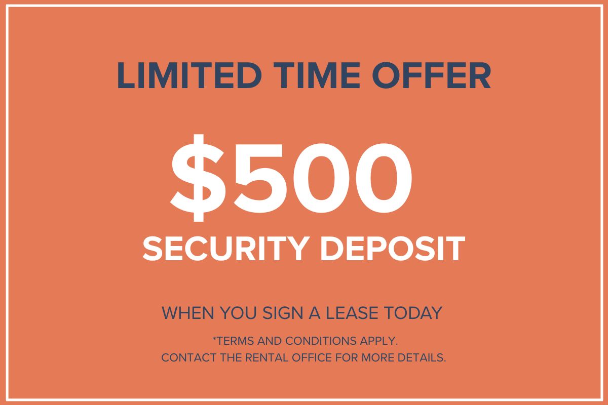Promotion Image