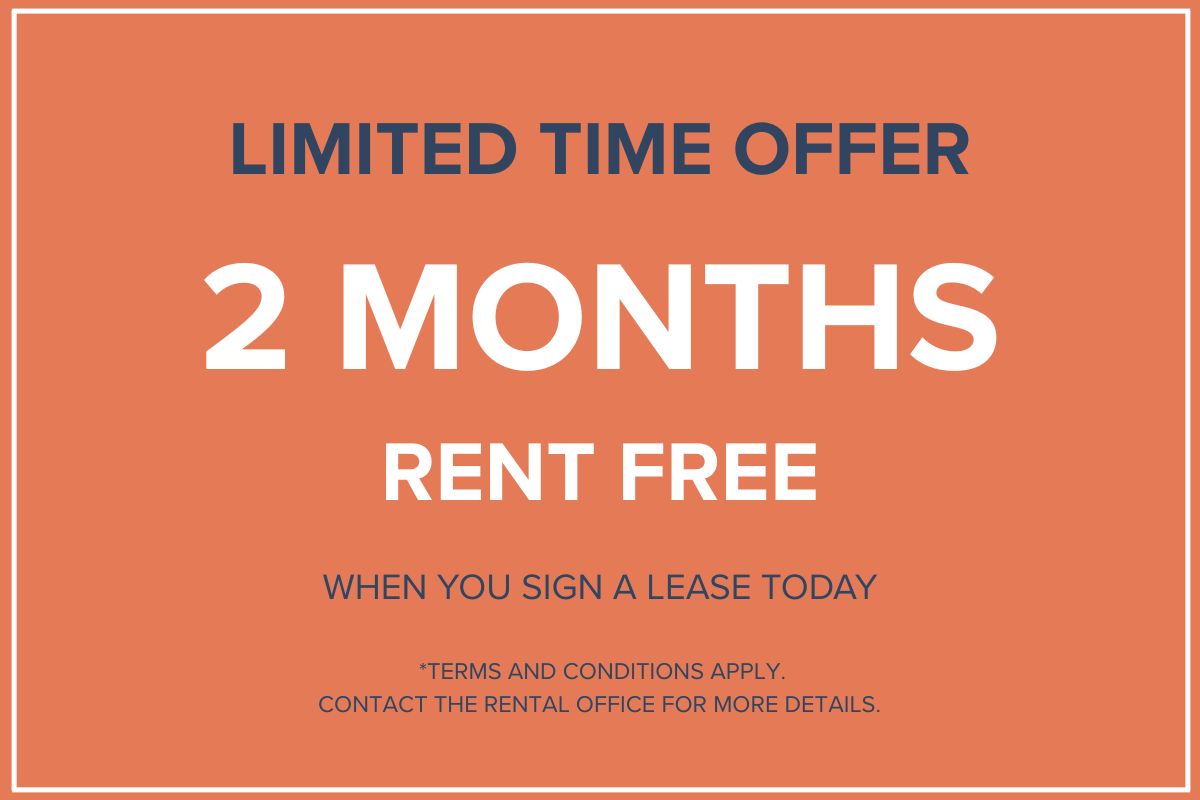 Promotion Image