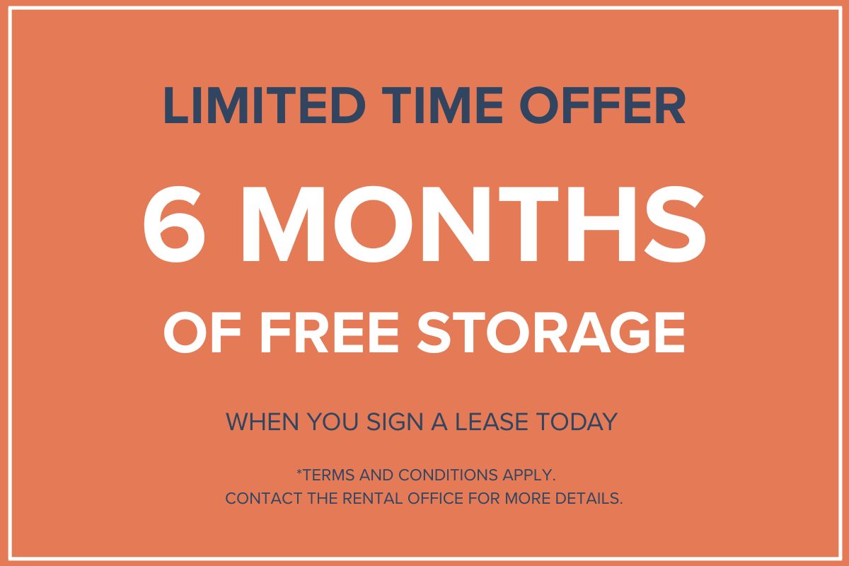 Promotion Image