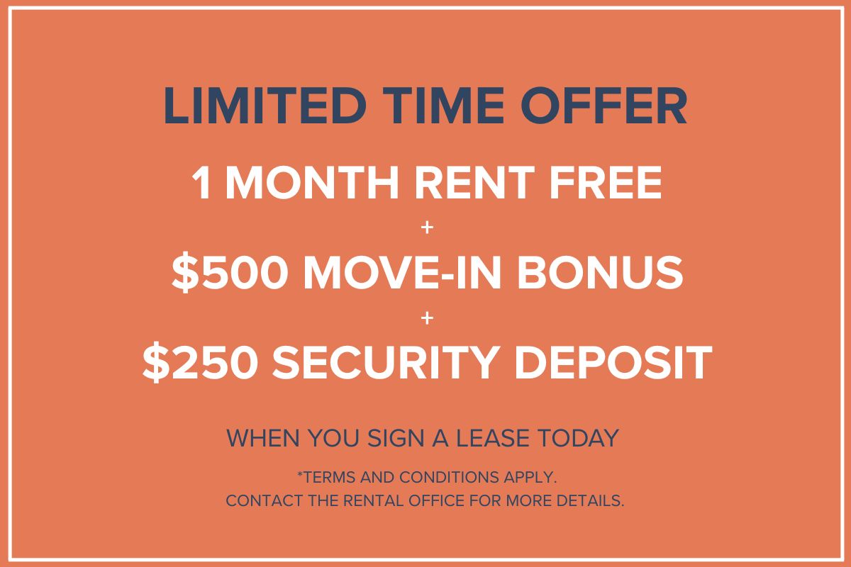 Promotion Image
