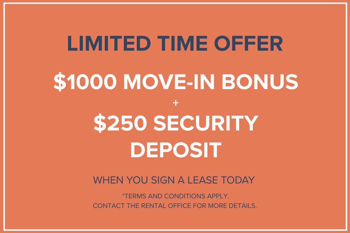 Promotion Image