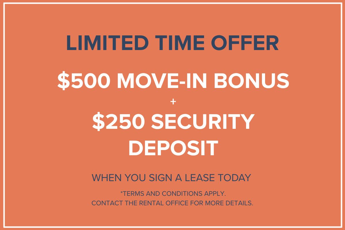 Promotion Image