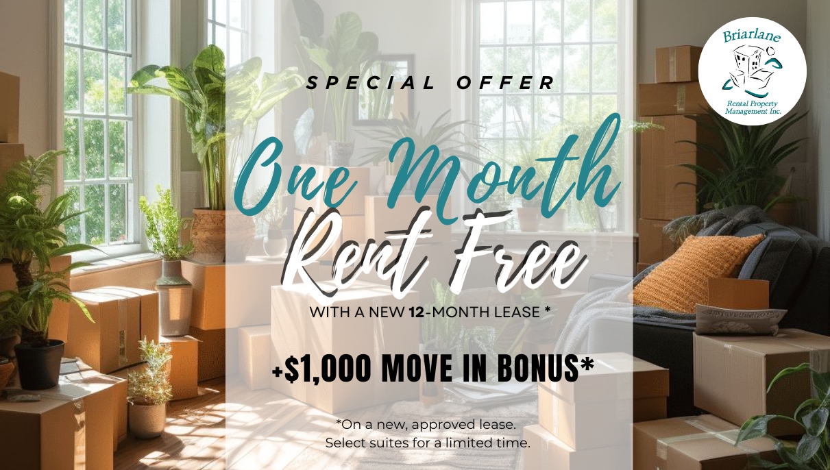 Promotion Image