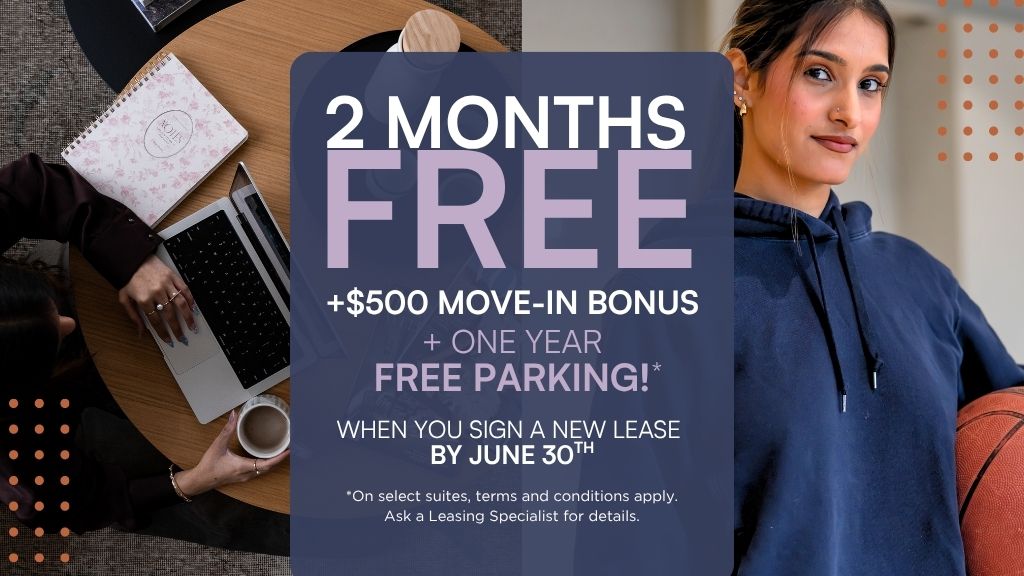 Promotion Image