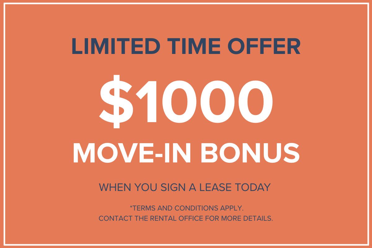 Promotion Image