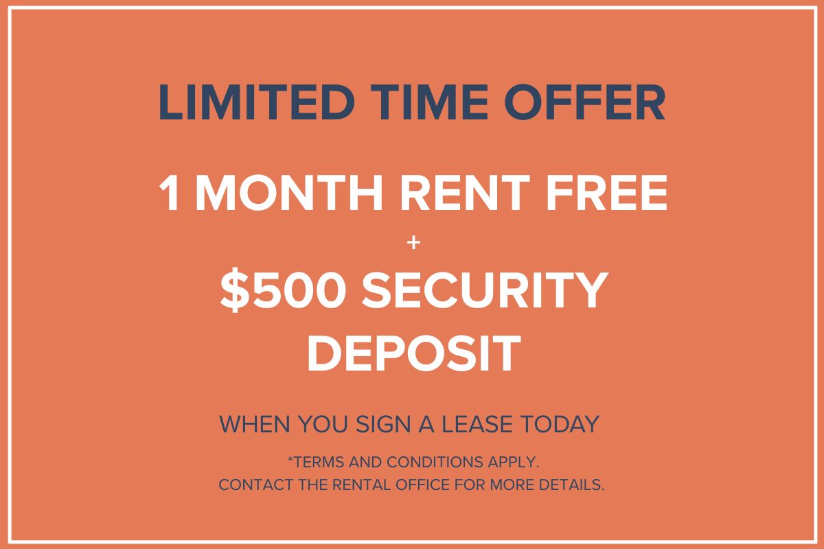 Promotion Image