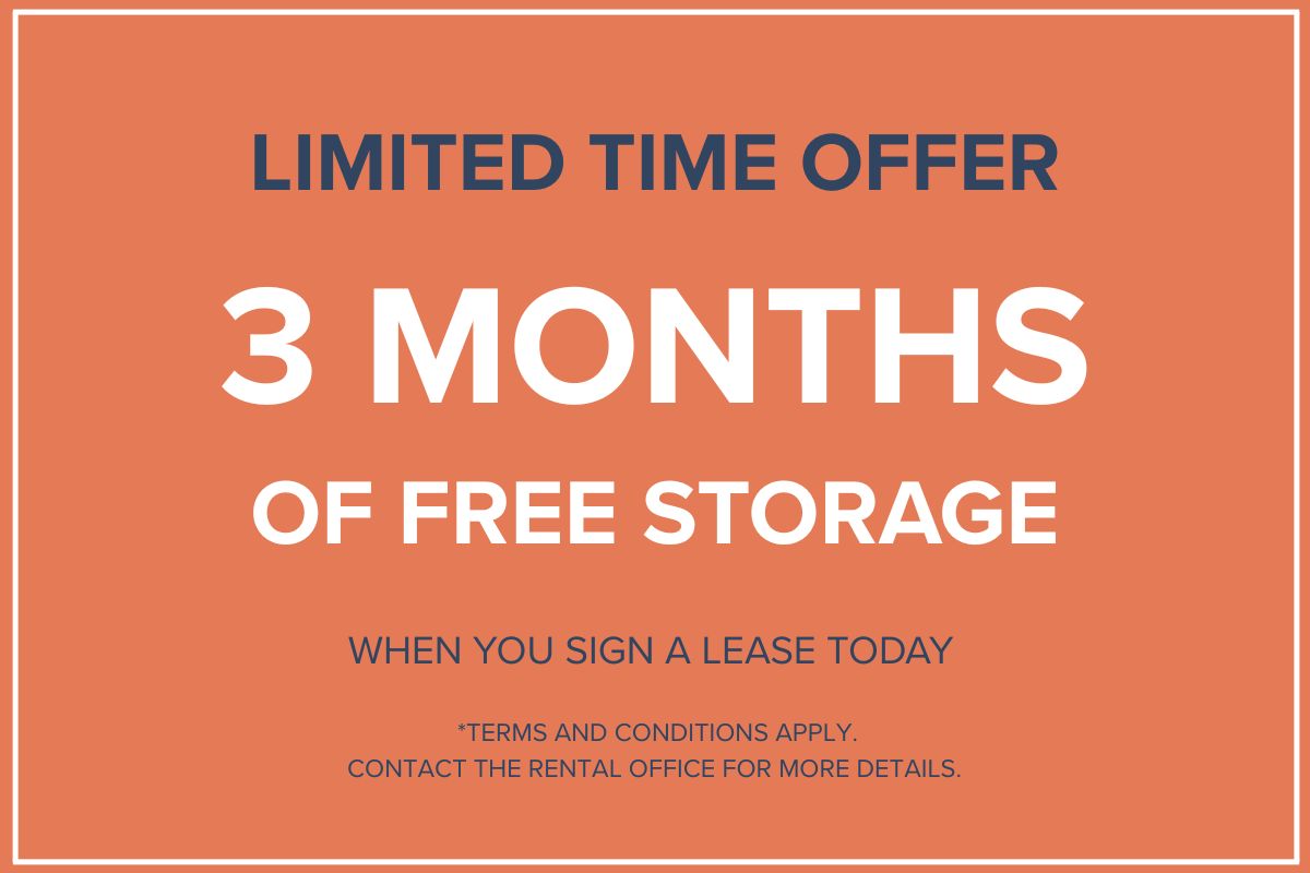Promotion Image