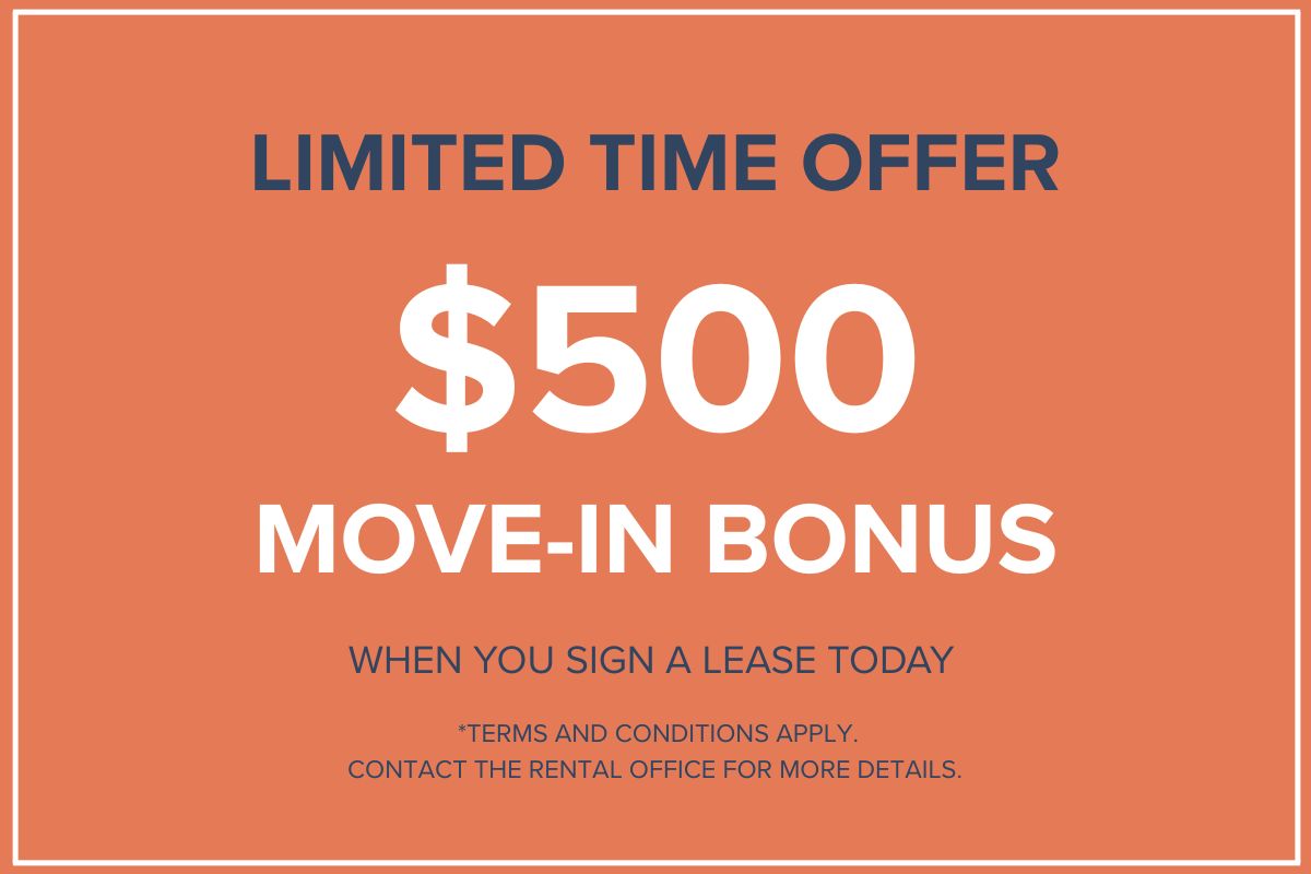 Promotion Image